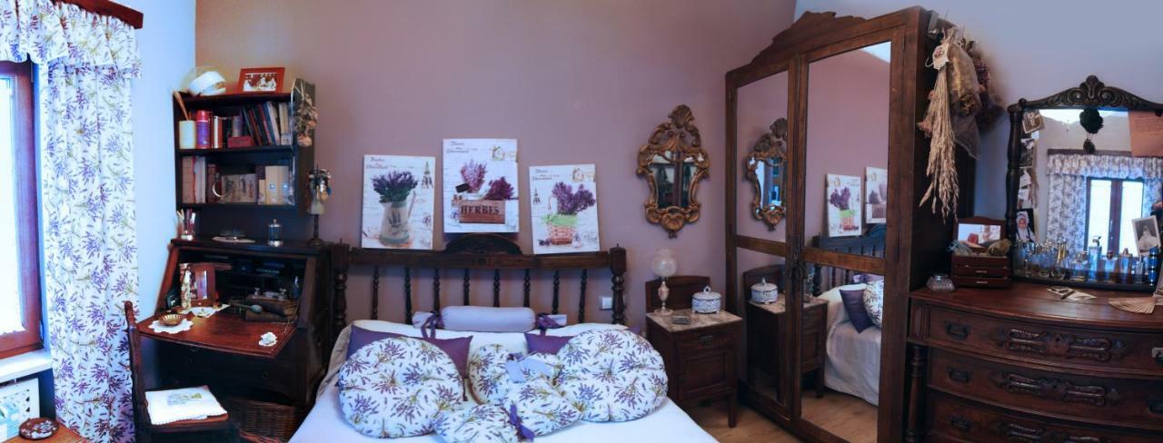 Apartamentos Sabor Rural I Leon Bagian luar foto